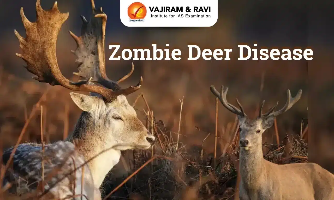 What is Zombie Deer Disease?