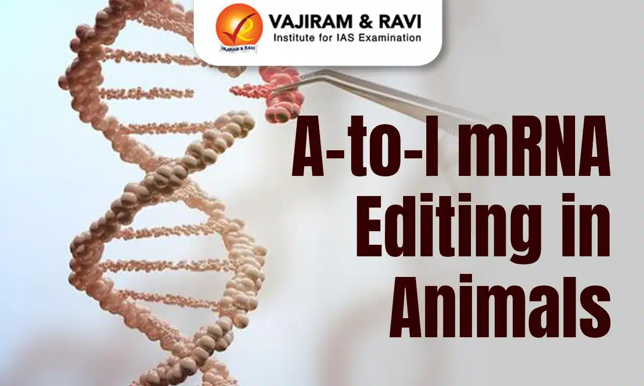 A-to-I mRNA Editing in Animals