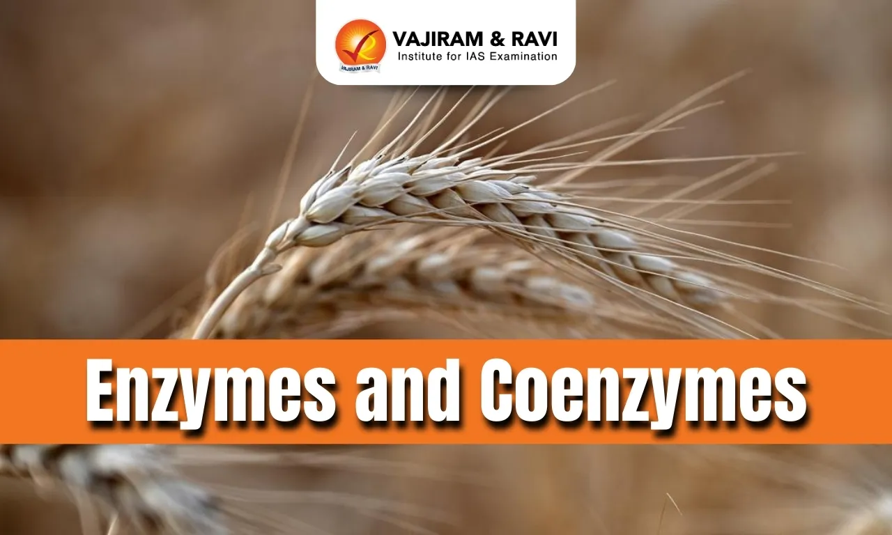 Enzymes and Coenzymes