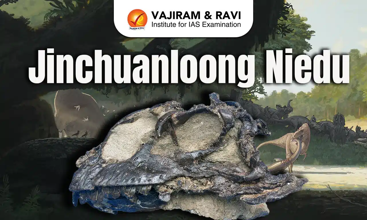 Jinchuanloong niedu