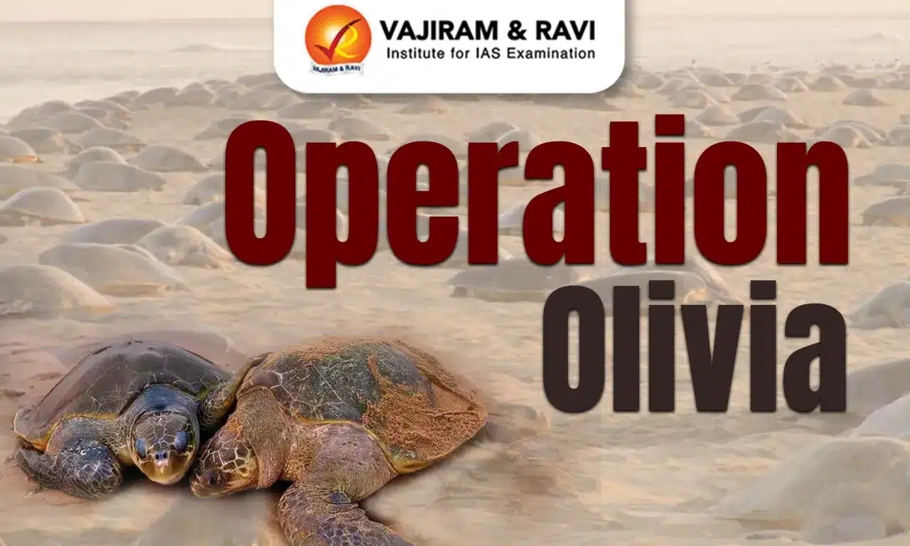 Operation Olivia