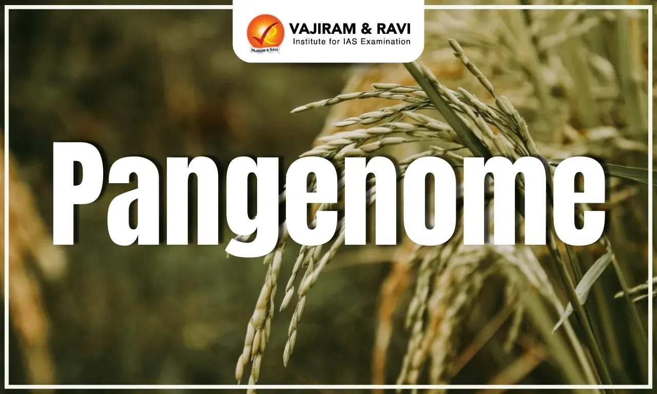Pangenome