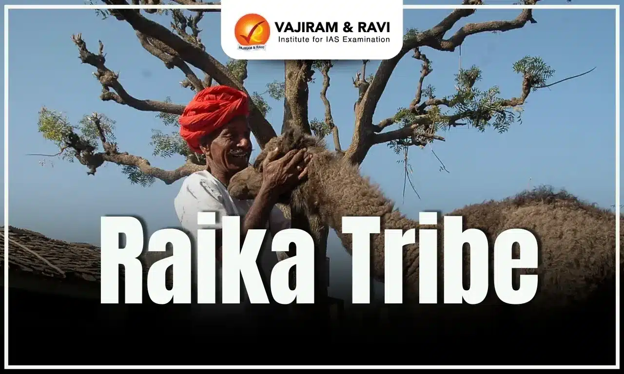 Raika Tribe