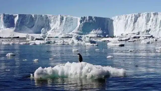 A Green Transformation of Warming Antarctic Peninsula