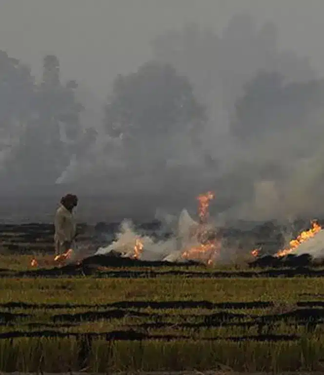 Discrepancy in Satellite Data on Farm Fires and Air Pollution Explained
