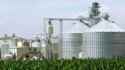 Efforts to Boost Ethanol Production in India
