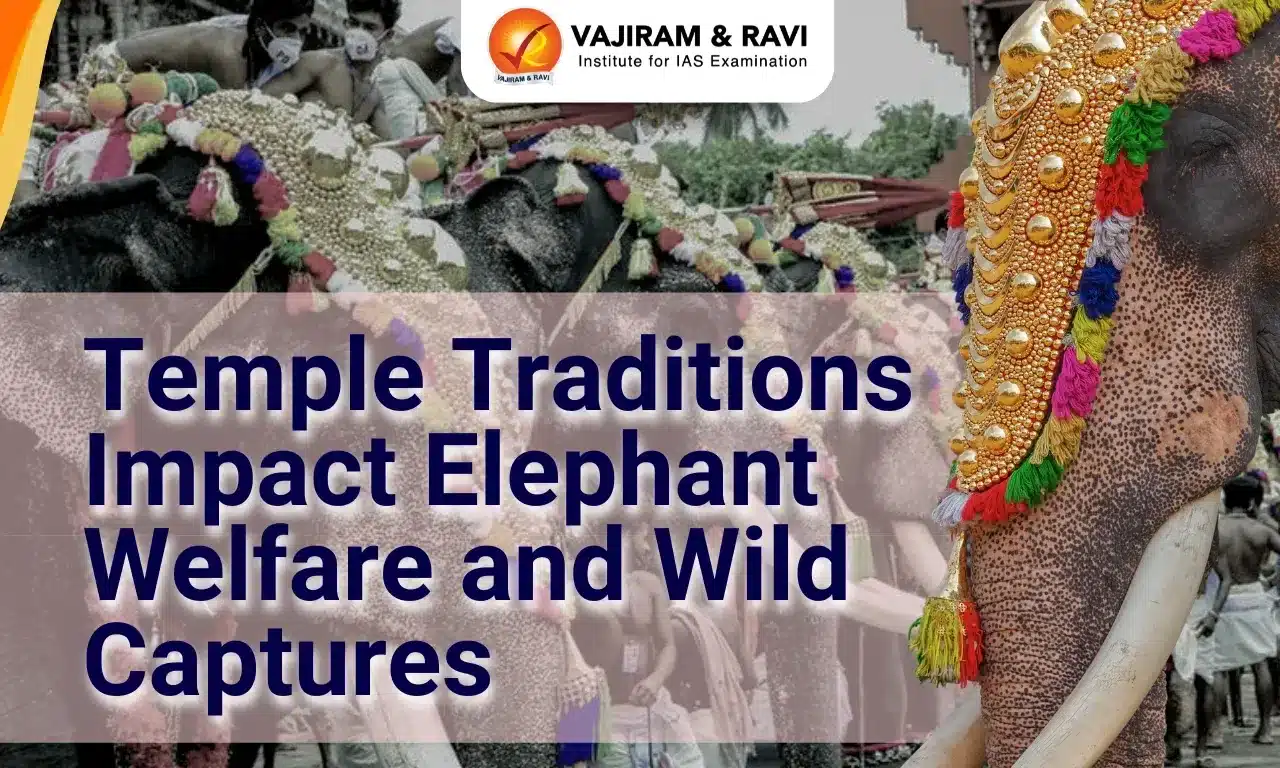 How Temple Traditions Impact Elephant Welfare and Wild Captures