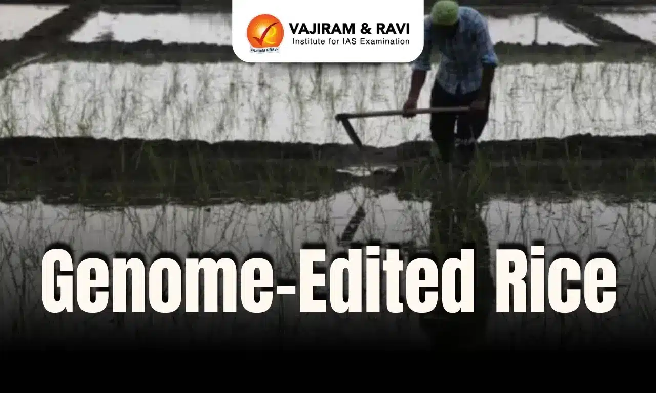 ICAR Launches World's First Genome-Edited Rice: Kamala & Pusa DST Rice 1