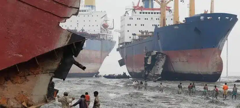 Impact of Ballast Water on Marine Ecosystems in India: Case Study on Charru Mussels