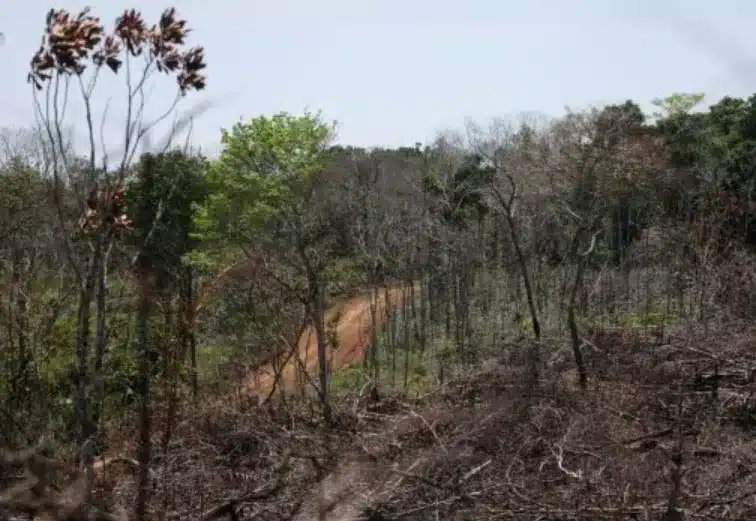 Key Highlights of the IPBES Nexus Report: Addressing Global Challenges