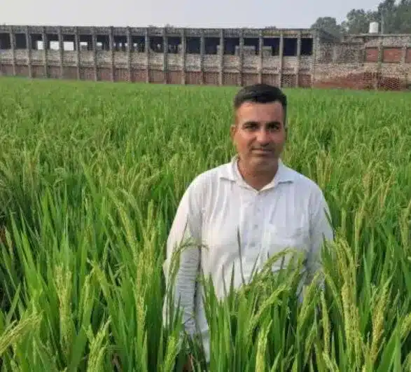 Pusa-2090: A Viable Solution to Address Farm Fires in Punjab and Haryana?