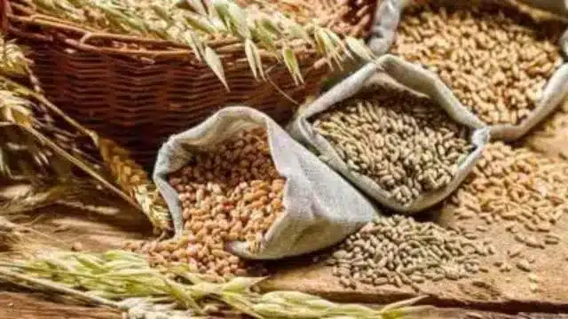 Union Government Announces MSP Hike for Rabi Crops