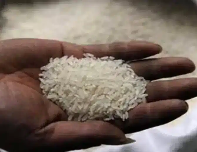 Universal Supply of Fortified Rice Under PMGKAY Extended Until 2028: Key Highlights