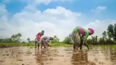 Weather Forecasting at the Gram Panchayat Level