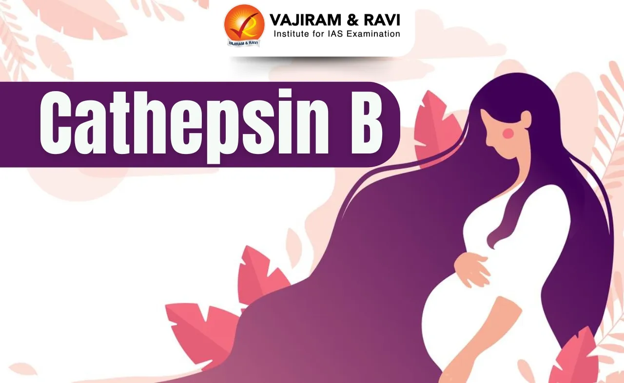 Cathepsin B