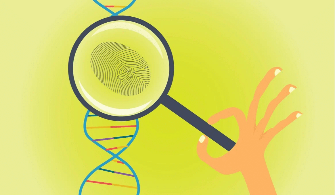 DNA identification