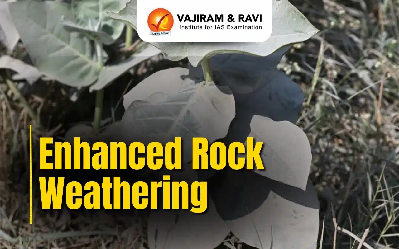 Enhanced Rock Weathering (1)