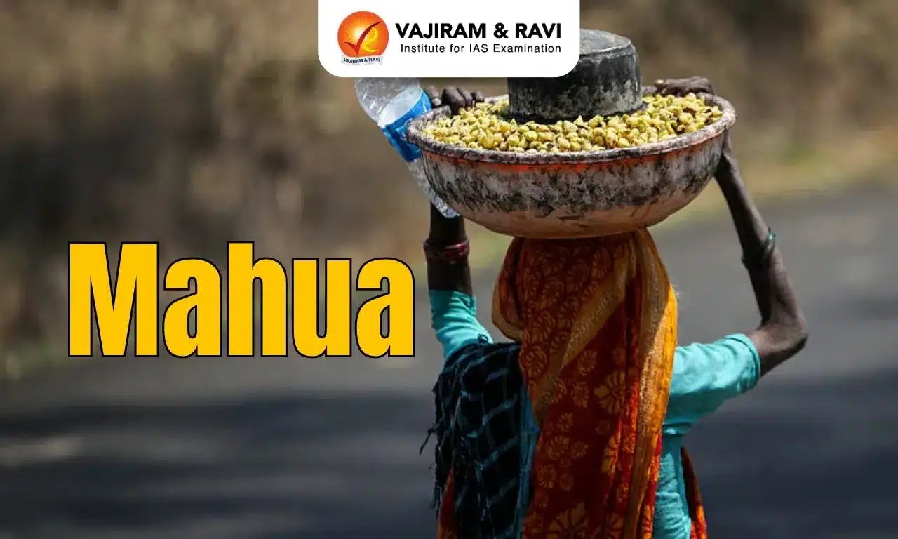 Mahua