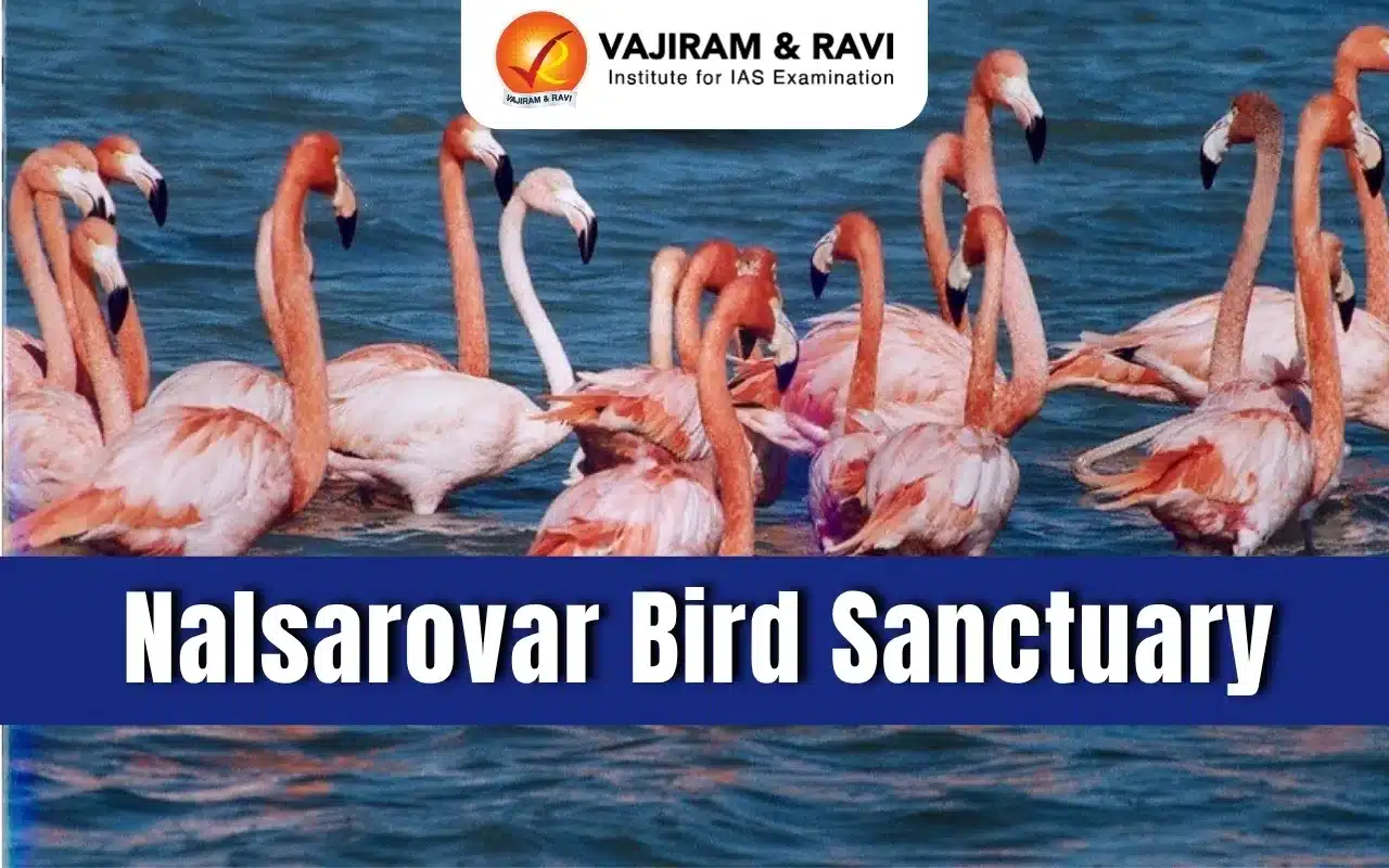 Nalsarovar Bird Sanctuary