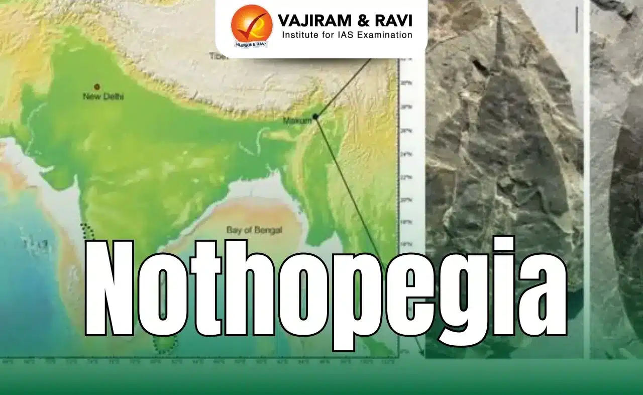 Nothopegia