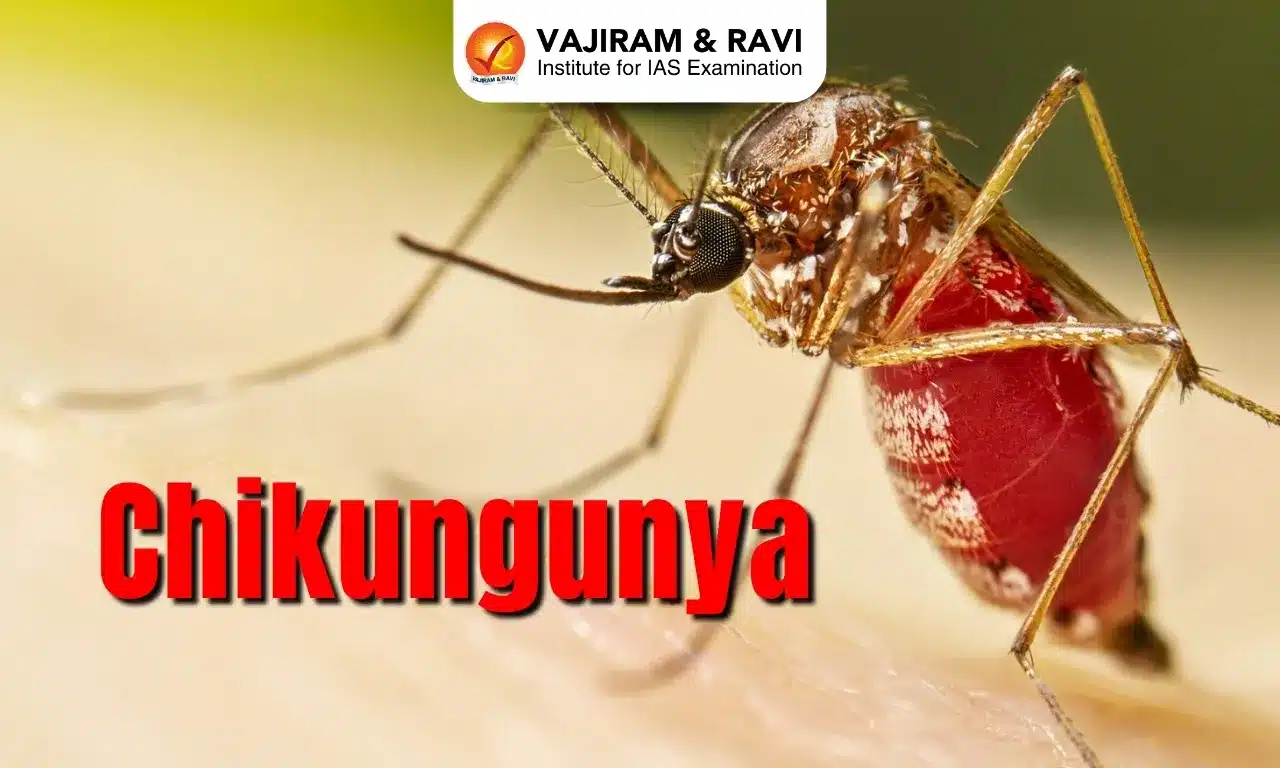 Chikungunya