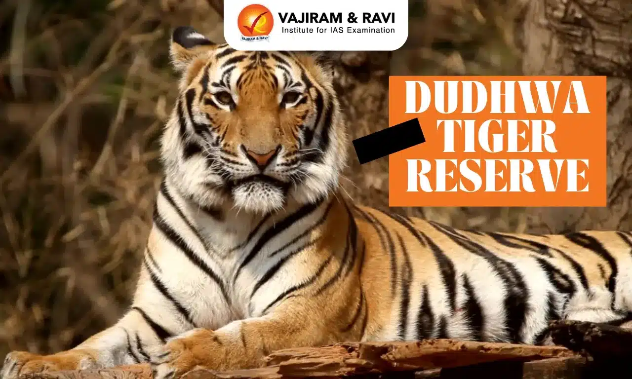 Dudhwa Tiger Reserve