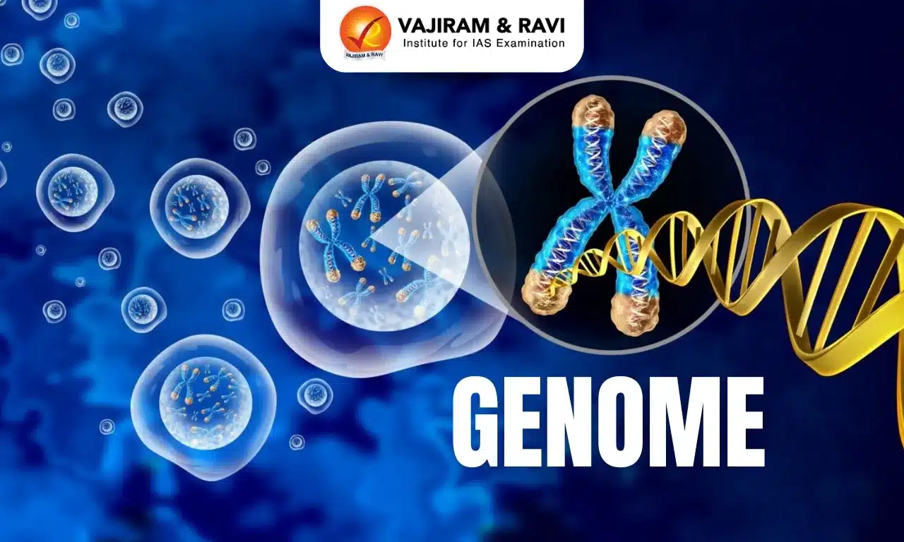Genome