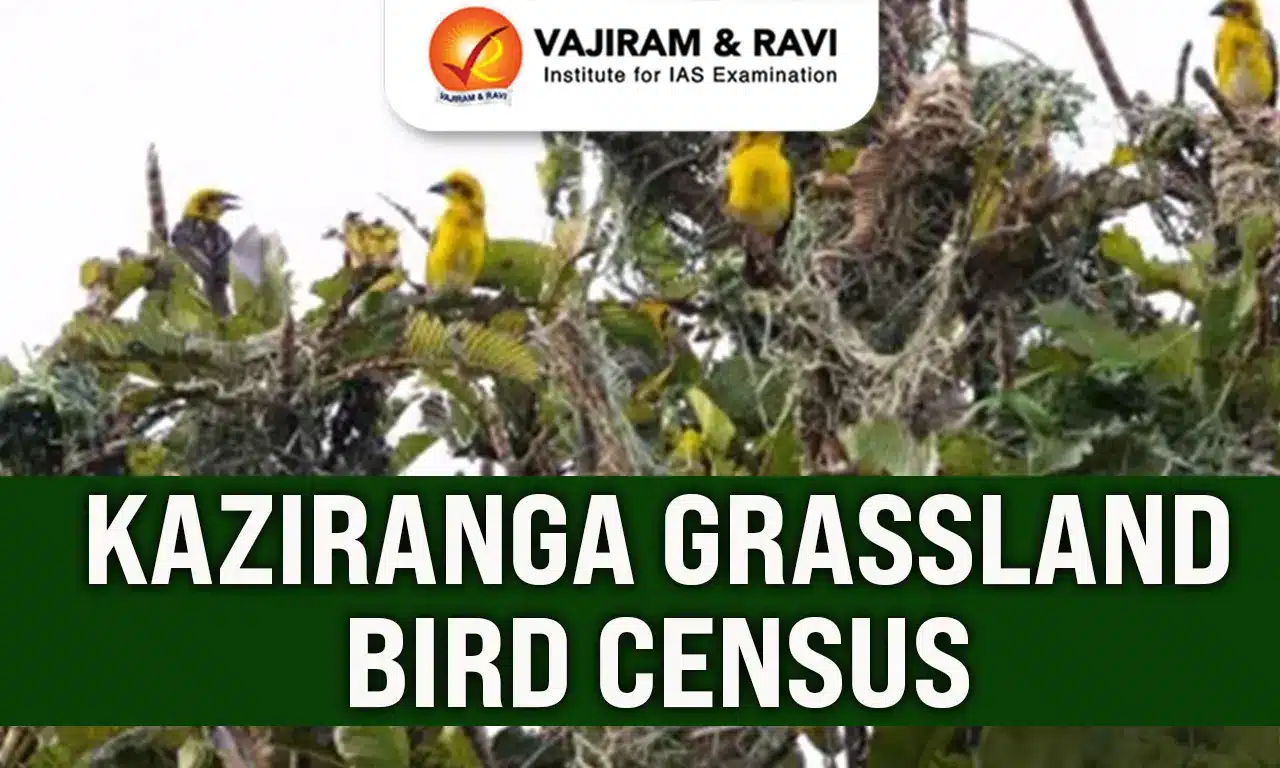 Kaziranga Grassland Bird Census