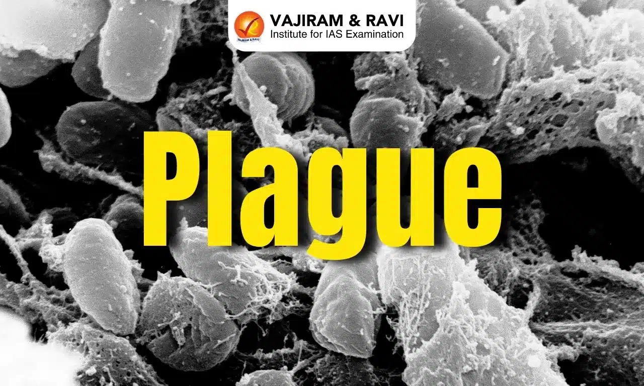 Plague
