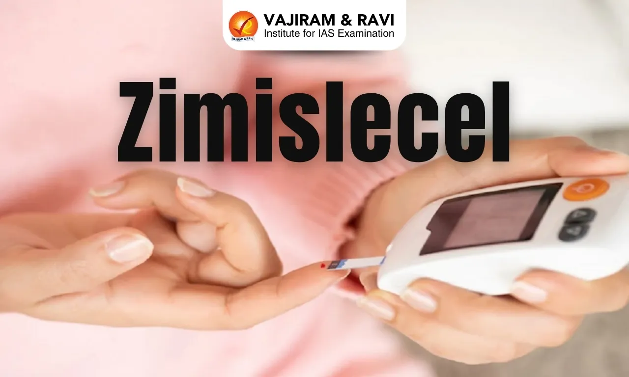 Zimislecel
