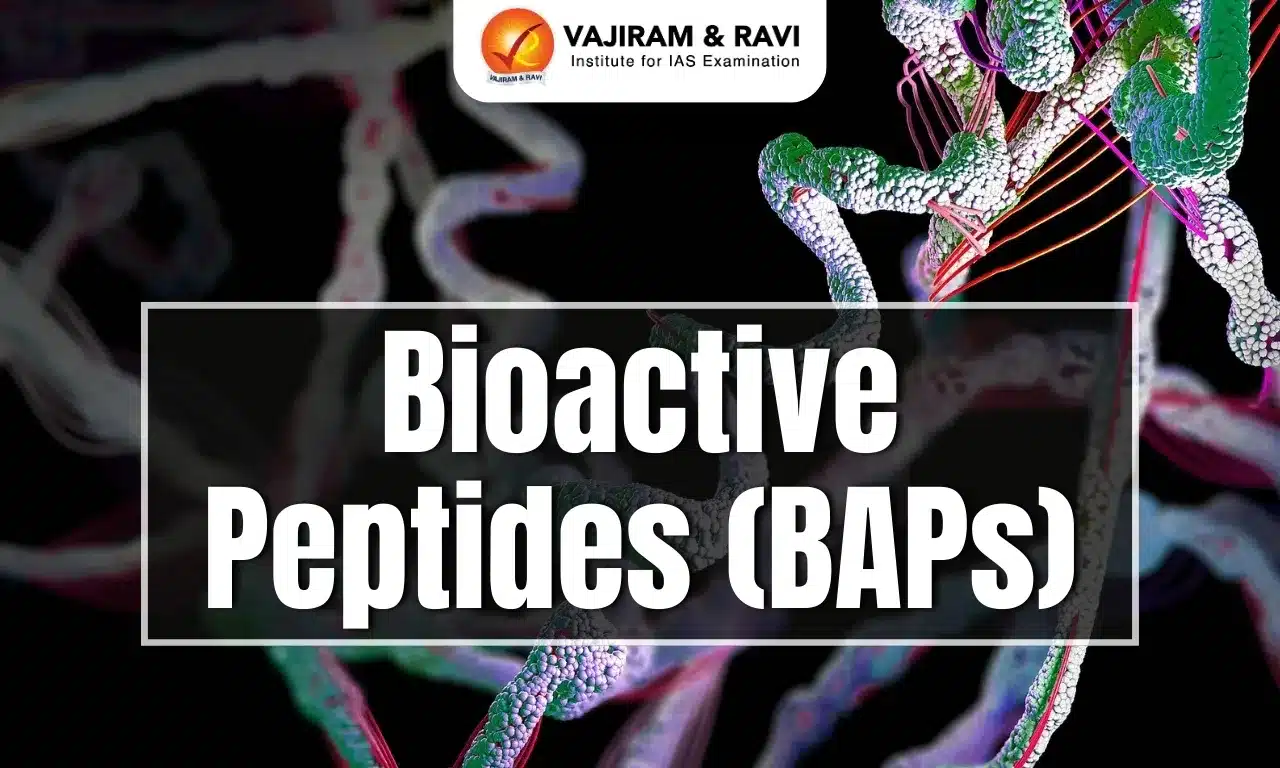 Bioactive Peptides