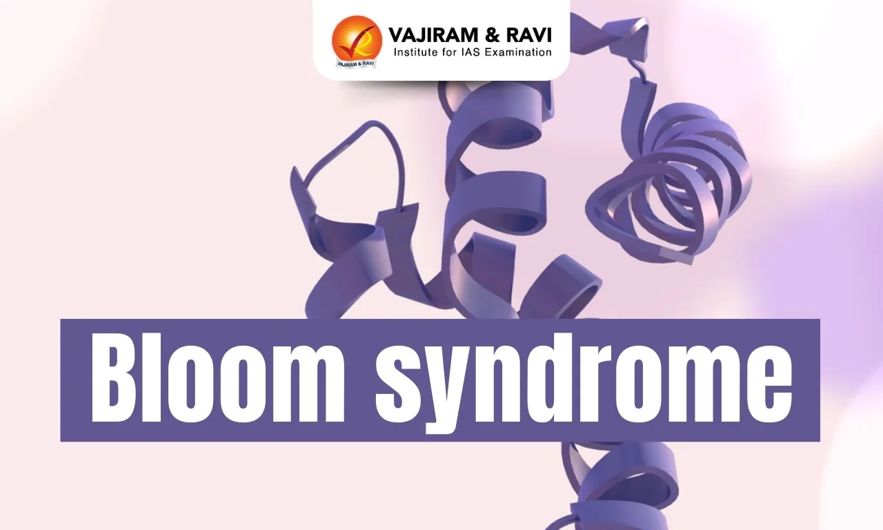 Bloom Syndrome