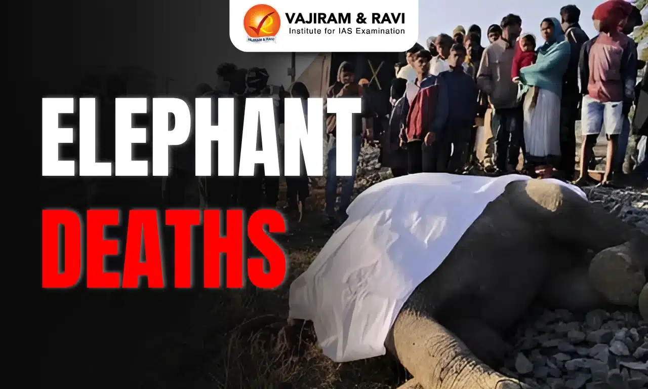 Elephant Deaths