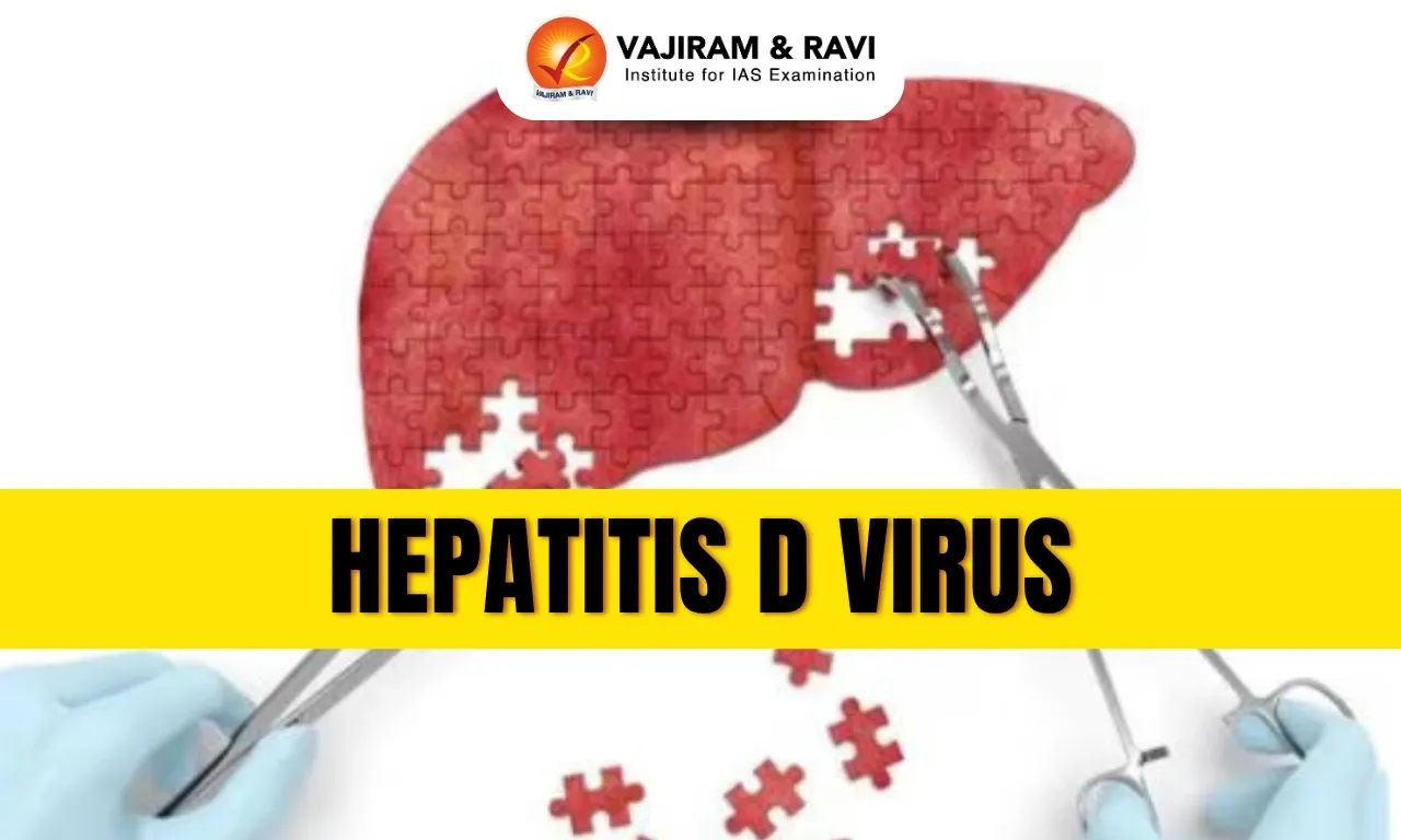 Hepatitis D
