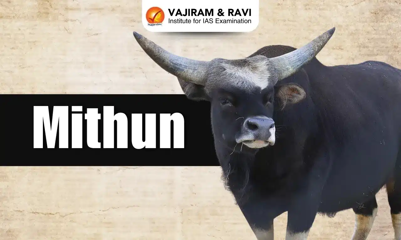 Mithun