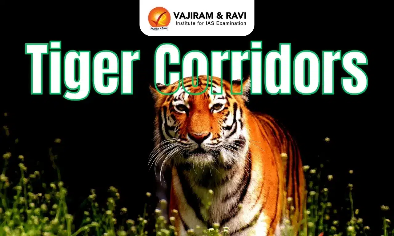 Tiger Corridors