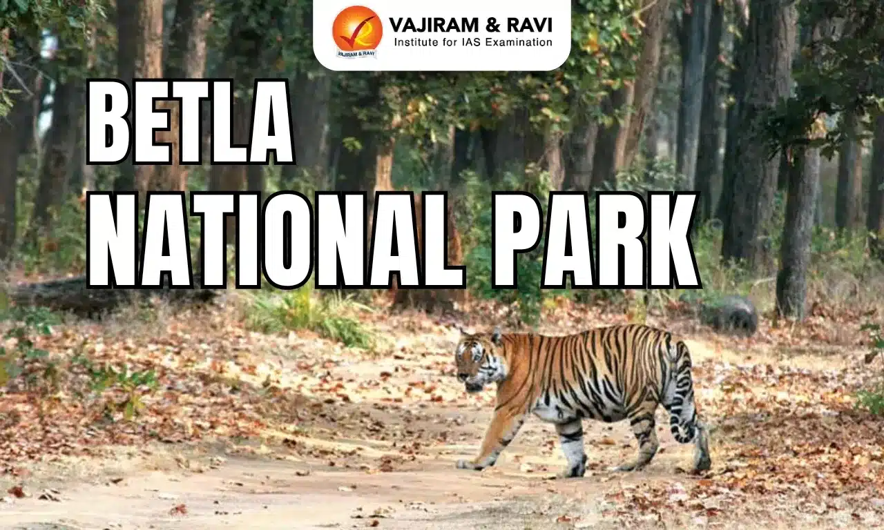 Betla National Park