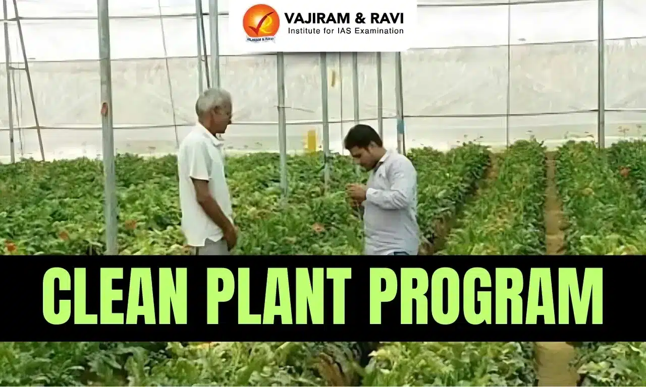 Clean Plant Programme