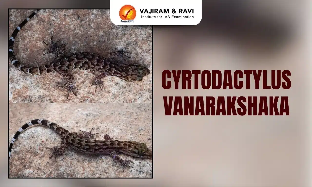 Cyrtodactylus Vanarakshaka