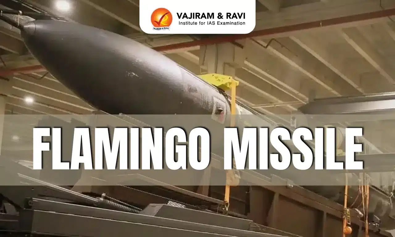 Flamingo Missile