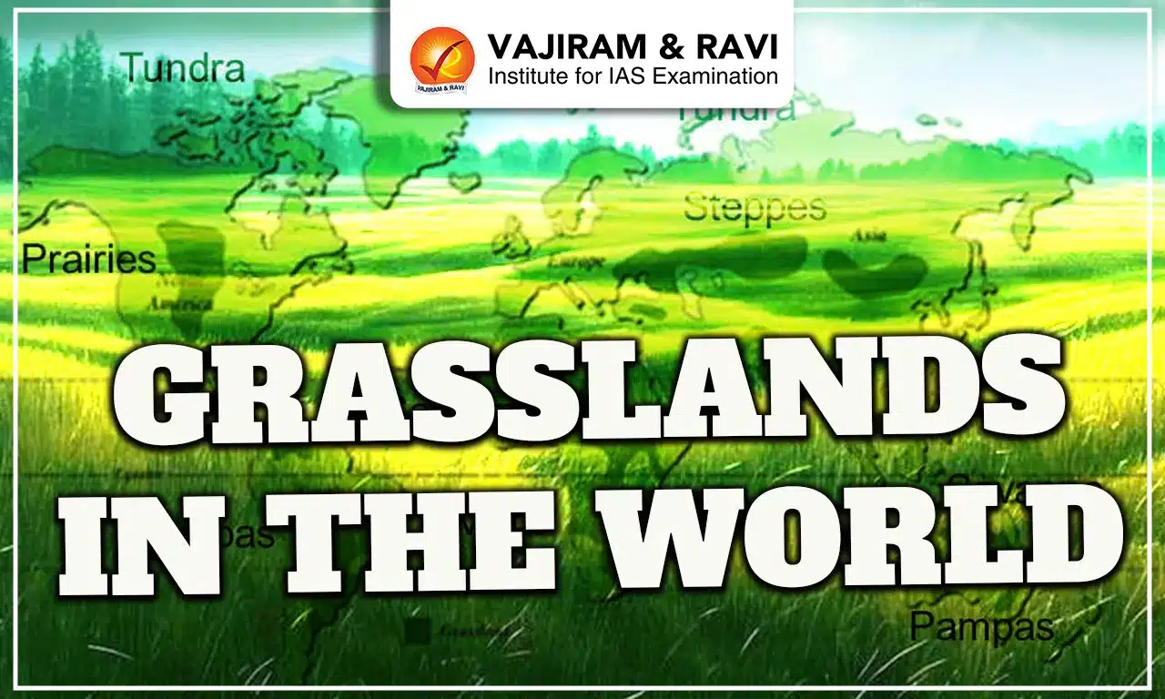 Grasslands in the World