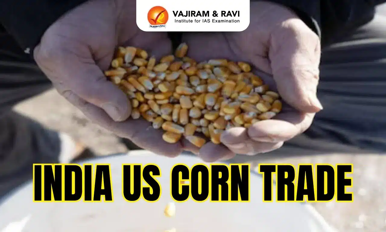 India US Corn Trade