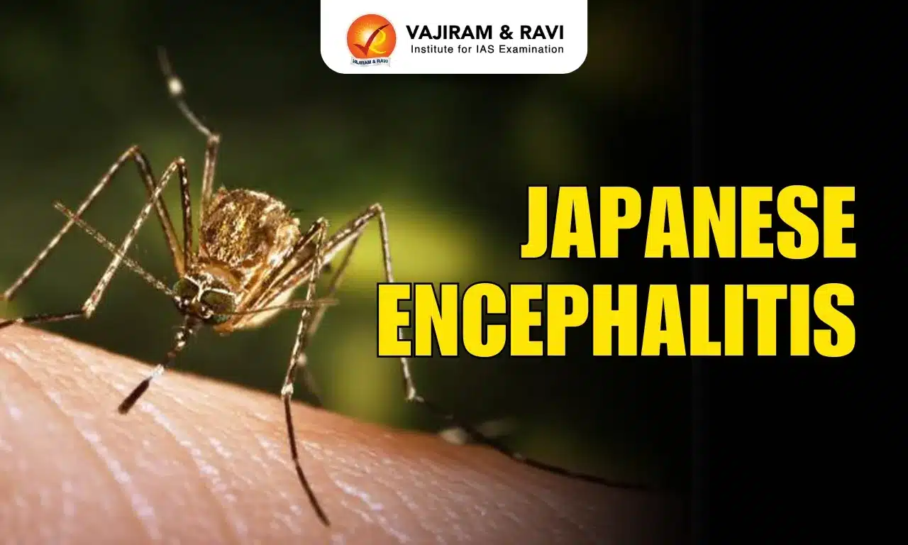 Japanese Encephalitis