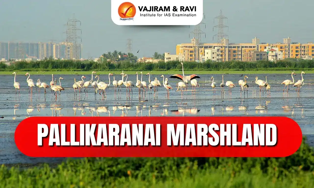 Pallikaranai Marshland