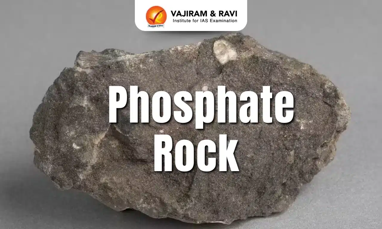Phosphate Rocks