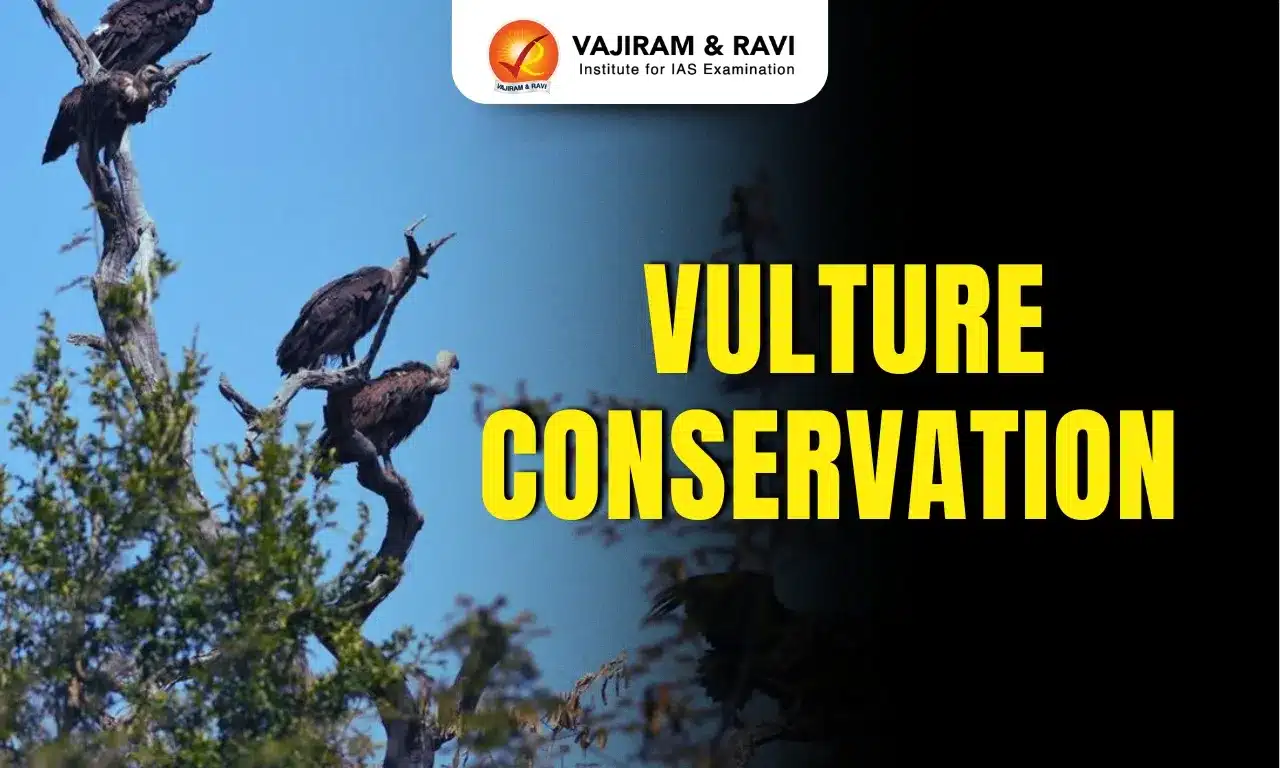Vulture Conservation
