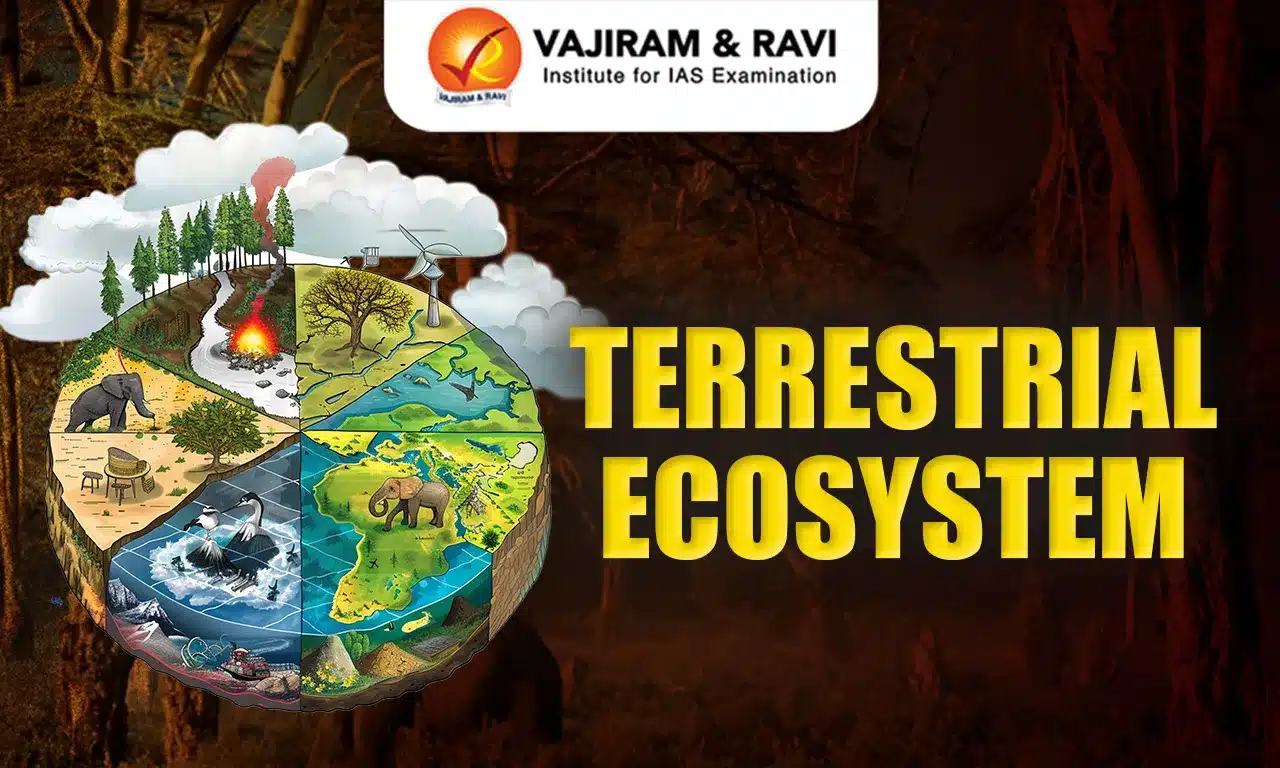 Terrestrial Ecosystem