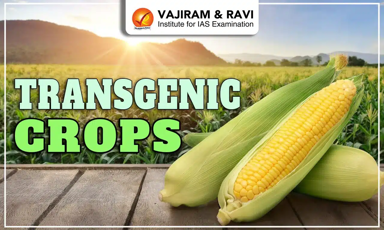 Transgenic Crops