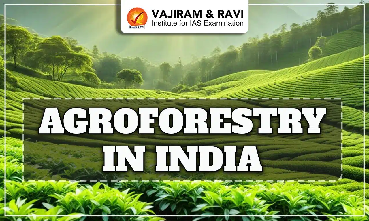 Agroforestry in India