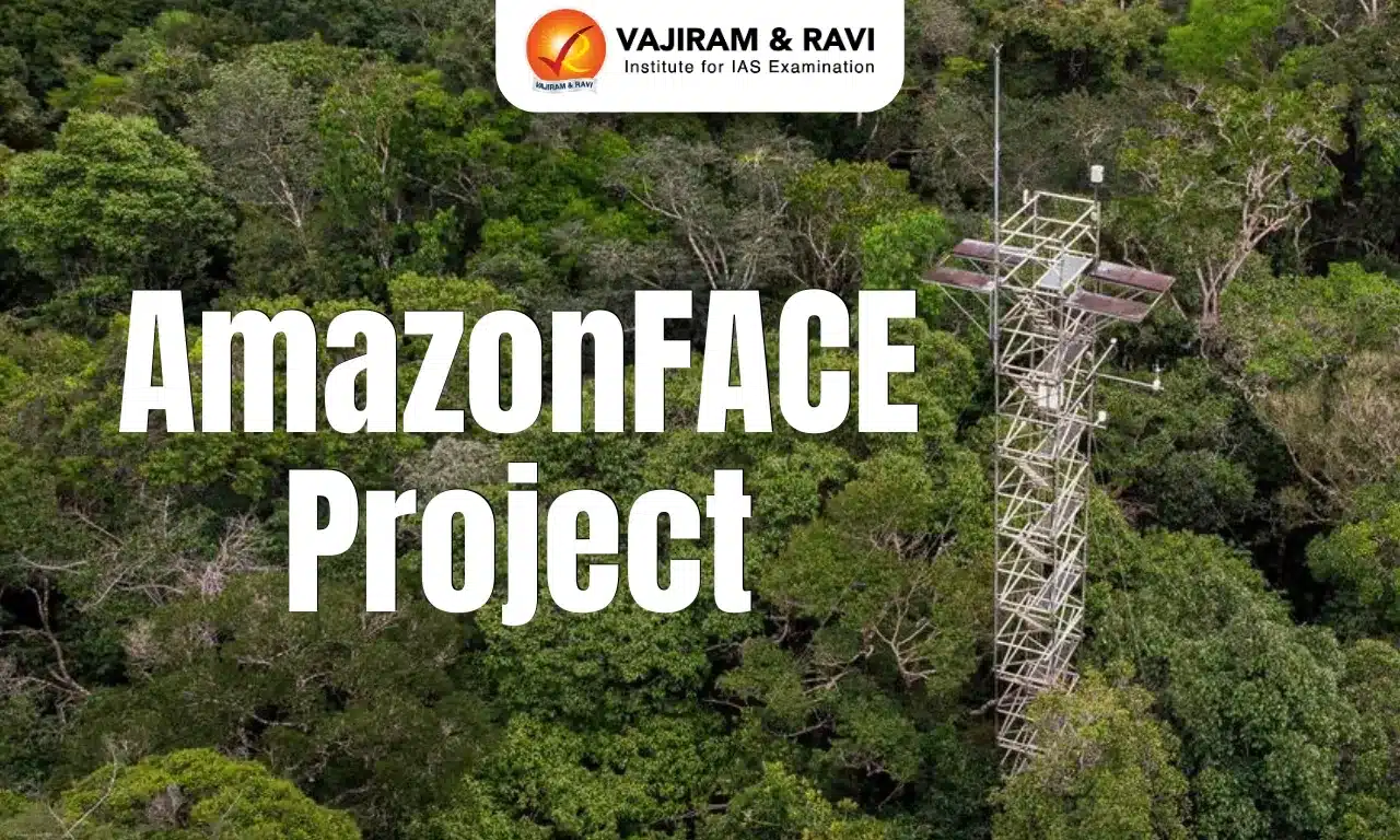 AmazonFACE Project